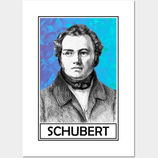 Franz Schubert Posters and Art